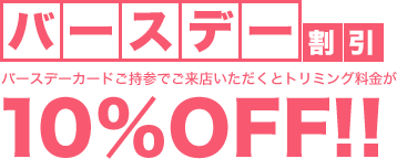 バースデー割引 バースデーカードをご持参でご来店いただくとトリミング料金が10%OFF！！