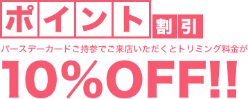 ポイント割引 バースデーカードをご持参でご来店いただくとトリミング料金が10%OFF！！