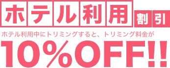 ホテル利用割引 1ヶ月以内の再度ご利用でトリミング料金が通常よりも10%OFF！！