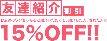 友達紹介割引 バお友達のワンちゃんをご紹介いただくと、紹介した人、された人に15%OFF！！