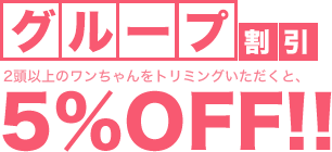 グループ割引 2歳以上のワンちゃんをトリミングいただくと、5%OFF！！