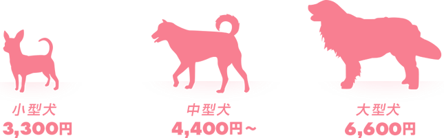 小型犬 3,300円 中型犬 4,400円～ 大型犬 6,600円