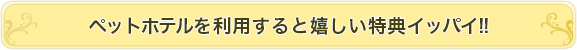 ペットホテルを利用すると嬉しい特典イッパイ！！