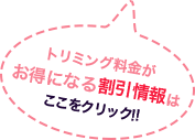 トリミング料金がお得になる割引情報はここをクリック！！