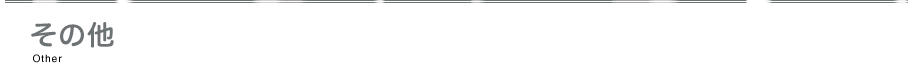 その他