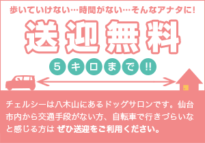 歩いていけない…時間がない…そんなアナタに！送迎無料 5キロまで！！ チェルシーは八木山にあるドッグサロンです。仙台市内から交通手段がない方、自転車で行きづらいなと感じる方はぜひ送迎をご利用ください。