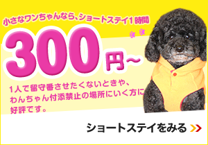 小さなワンちゃんなら、ショートステイ1時間 300円～ １人で留守番させたくないときや、わんちゃん付添禁止の場所にいく方に好評です。