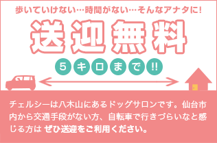 歩いていけない…時間がない…そんなアナタに！送迎無料 5キロまで！！ チェルシーは八木山にあるドッグサロンです。仙台市内から交通手段がない方、自転車で行きづらいなと感じる方はぜひ送迎をご利用ください。