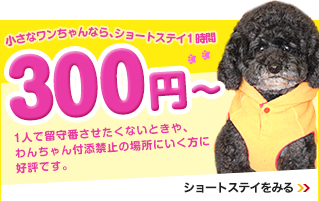 小さなワンちゃんなら、ショートステイ1時間 300円～ １人で留守番させたくないときや、わんちゃん付添禁止の場所にいく方に好評です。