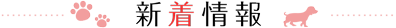新着情報