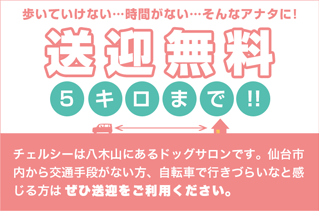 歩いていけない…時間がない…そんなアナタに！ 送迎無料 5キロまで！！ チェルシーは八木山にあるドッグサロンです。仙台市内から交通手段がない方、自転車で行きづらいなと感じる方はぜひ送迎をご利用ください。
