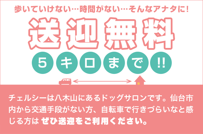 歩いていけない…時間がない…そんなアナタに！ 送迎無料 5キロまで！！ チェルシーは八木山にあるドッグサロンです。仙台市内から交通手段がない方、自転車で行きづらいなと感じる方はぜひ送迎をご利用ください。