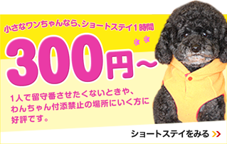 小さなワンちゃんなら、ショートステイ1時間300円～ 1人で留守番させたくないときや、わんちゃん付添禁止の場所に行く方に好評です
