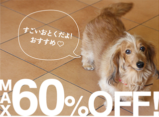 すごいおとくだよ！おすすめ MAX60%OFF!